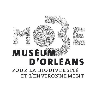 Muséum d'Orléans